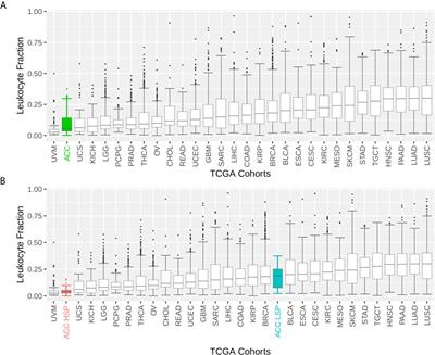 Adrenocortical Carcinoma Steroid Profiles: In Silico Pan-Cancer Analysis of TCGA Data Uncovers Immunotherapy Targets for Potential Improved Outcomes